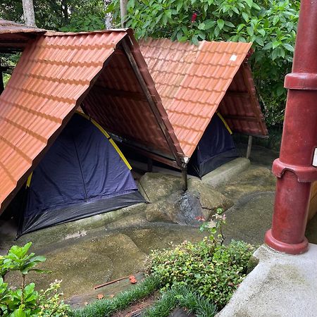 Ready Camp E Suites Da Cachoeira 格兰德岛 外观 照片